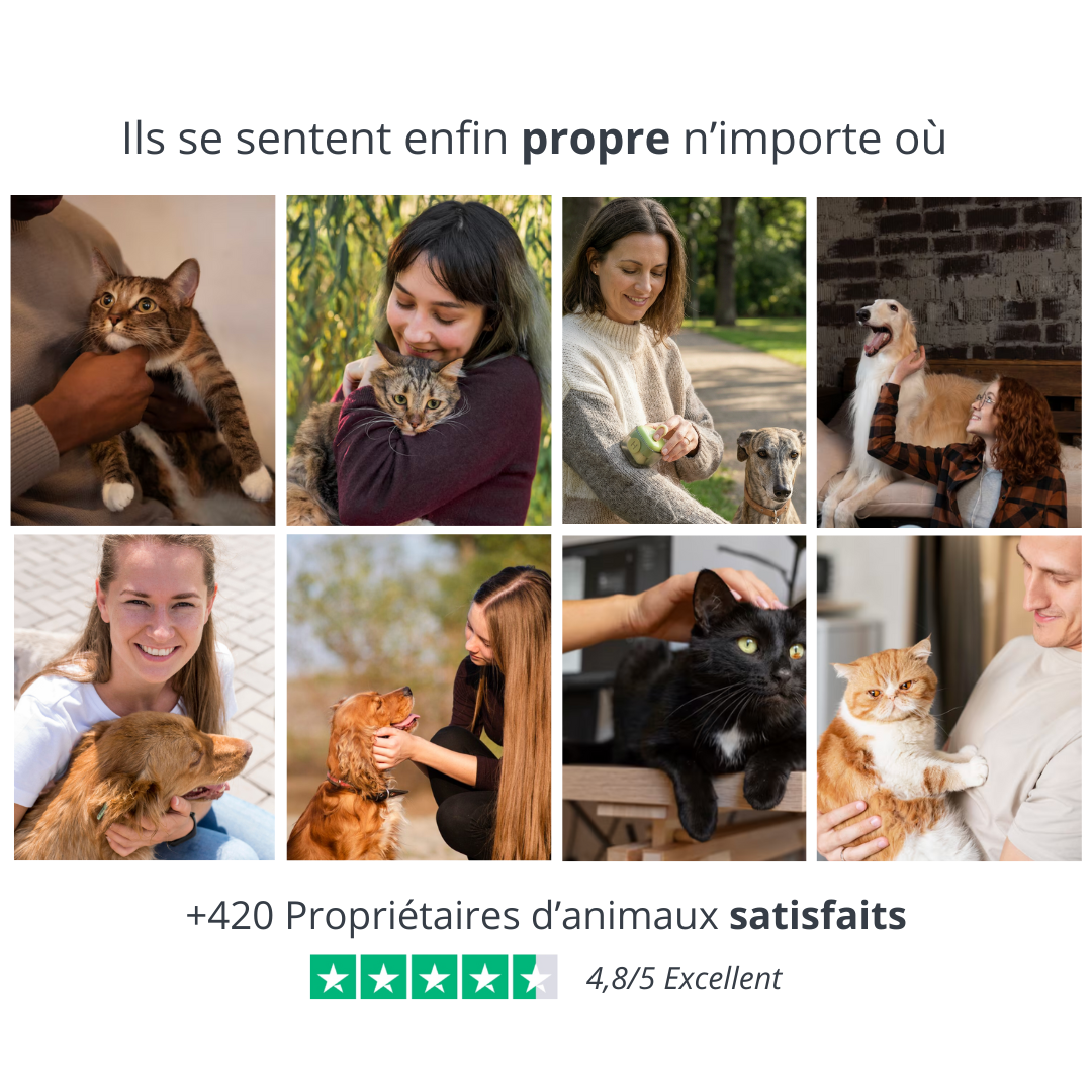 rouleau anti poils filopets